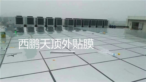 玻璃天顶贴膜